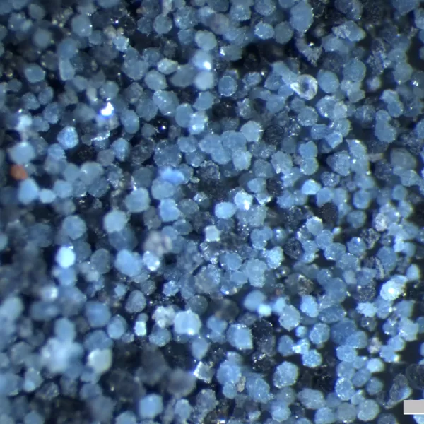 Recovered vivianite crystals